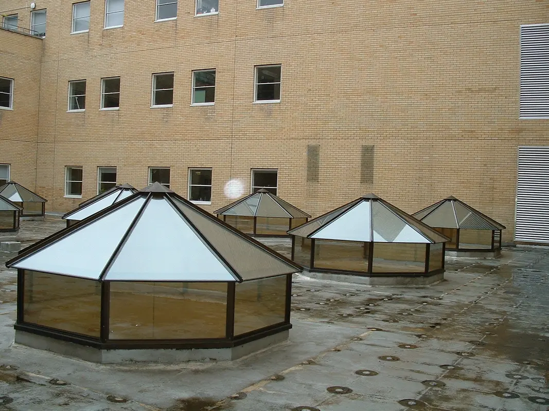 Flat Roof Skylights Belgravia